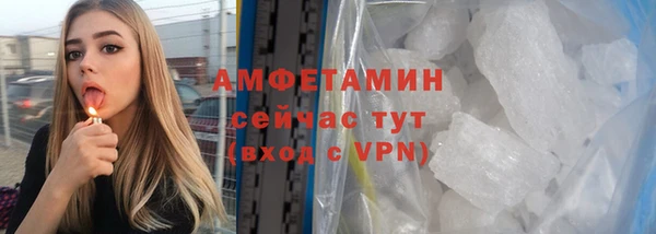 гидра Краснослободск