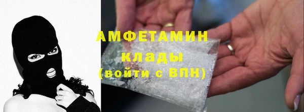 прущие грибы Рославль