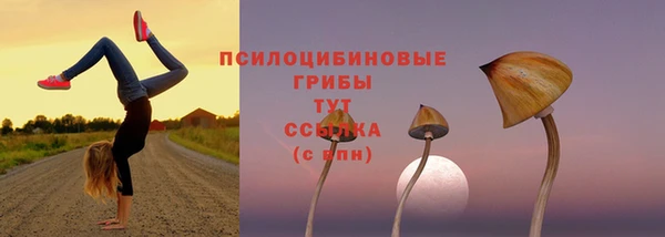 каннабис Ростов