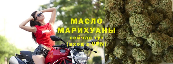 гидра Краснослободск