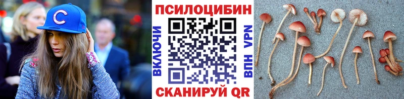 Галлюциногенные грибы мицелий Котово